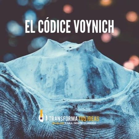 libro el codice voynich